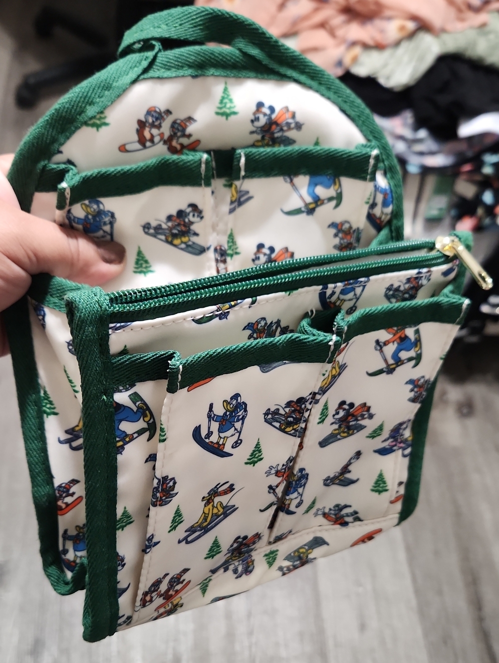 Disney Bag Insert/organizer